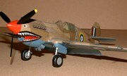 Curtiss P-40 Warhawk 1:48