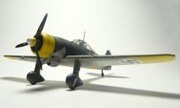 Fokker D.XXI 1:48