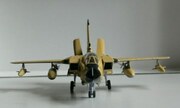 Panavia Tornado IDS 1:72