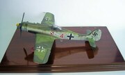 Focke-Wulf Fw 190D-11 1:48