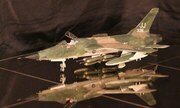 Republic F-105D Thunderchief 1:48