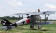 Pfalz D.III 1:48