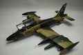 Aermacchi MB.339AM 1:48