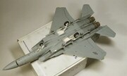 McDonnell Douglas F-15C Eagle 1:48