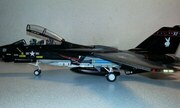 Grumman F-14A Tomcat 1:48