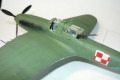 Iljusin Il-2M3 Sturmovik 1:72