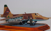 Sukhoi Su-25 Frogfoot 1:72