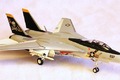 Grumman F-14A Tomcat 1:100