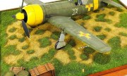 IAR 80M 1:48