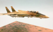 F-14A IRIAF 1:72