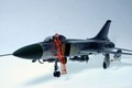 Sukhoi Su-15TM Flagon-F 1:48