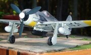 Focke-Wulf Fw 190G-3 1:48