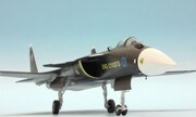 Sukhoi Su-47 Berkut 1:72