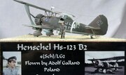 Henschel Hs 123B-2 1:48