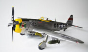 Republic P-47D Thunderbolt 1:48