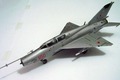 Mikoyan-Gurevich MiG-21UM Mongol-B 1:72