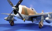 P-47D Thunderbolt  1:32