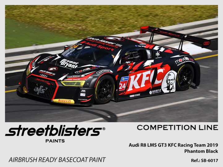 Boxart Audi R8 LMS GT3 Phantom Black  StreetBlisters Paints