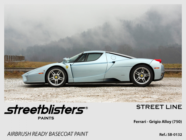 Boxart Ferrari Grigio Alloy (750)  StreetBlisters Paints