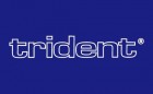 Trident Miniatures Logo